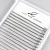 Paletka Rzęs EASY FAN LASHES 4D 640 kępek